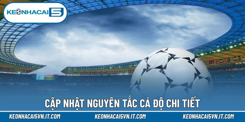 Những nguyên tắc bạn cần biết