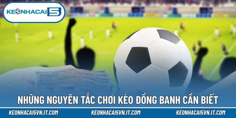 Luật lệ cơ bản hội viên cần biết