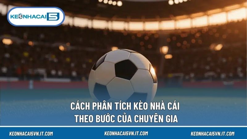 Tìm hiểu tỷ lệ kèo là cách phân tích kèo nhà cái hàng đầu