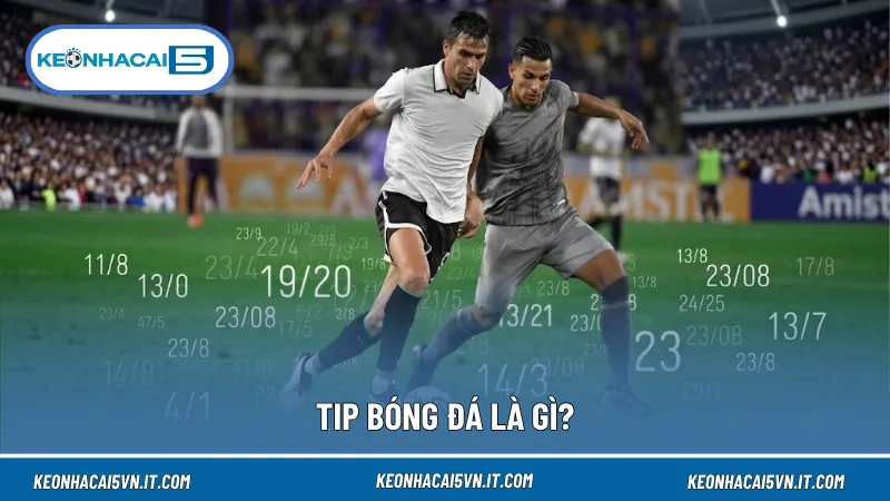 Tip bóng đá là gì? Đây là những nhận định dựa trên phân tích phong độ, đội hình và các yếu tố trước trận đấu